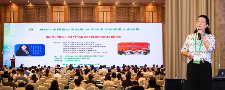 图片2-3处理.jpg