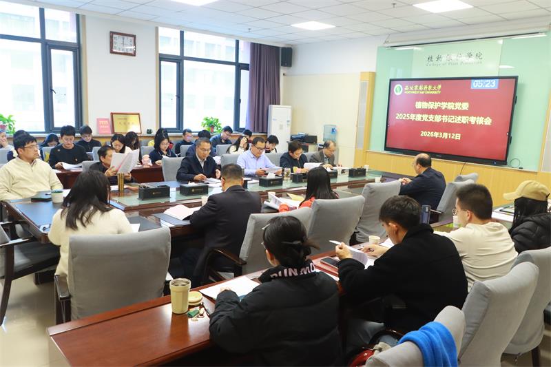 80051吃瓜网
召开2025年度党支部书记述职评议会_3.13.jpg